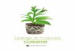 Índice - oasiseasyplant.mx · Durante más de 60 años, Smithers Oasis se ha convertido en el principal fabricante y comercializador de espuma floral, productos poscosecha, medios