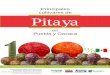 Principales cultivares de Pitaya - gob.mx · En fruto la información se relaciona con morfología, parámetros de calidad para consumo en fresco, vida de anaquel, preferencia para