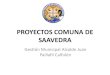 PROYECTOS COMUNA DE SAAVEDRA - Bienvenidosmunicipiodesaavedra.cl/.../2014/03/CARTERA-DE-PROYECTOS-FEBRERO.pdf · 1 motoniveladora 1 camion tolva ... gestión de 35 millones ... cartera