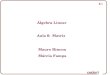 Álgebra Linear Aula 6: Matriz Mauro Rincon Márcia Famparincon/Disciplinas/Algebra Linear/Aula_006.pdf · 4.2 - Matrizes 6.13 Voltar linha 3coluna 2 Animar linha 1coluna 3linha 3linha