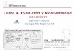Tema 4. Evolución y biodiversidad - dpbiologia.weebly.comdpbiologia.weebly.com/uploads/2/1/5/5/21553524/gtp_t4.evolución_y... · Un cladograma puede realizarse a partir de datos