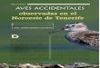 observadas en el Noroeste de Tenerife - African Bird Club · cifra no ha dejado de aumentar con algunas especies nuevas para Divagante de origen americano, el correlimos culiblanco