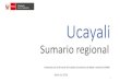 Ucayali - Portal DEMIdemi.produce.gob.pe/Content/files/doc_03/Regionales/Ucayali.pdf · Producción sectorial 7 UCAYALI Principales indicadores económicos VAB manufactura (%) Fuente: