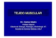 Teorico 7 Tejido Muscular 2010 · con el sistema de túbulos y cisternas . Succinico Deshidronegenasa Tipos de fibras Aeróbicas ... Fibra muscular Epimisio Endomisio Miofibrilla