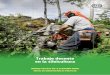 Trabajo decente en la silvicultura - ilo.org · Otros países con cifras de empleo formal elevadas son los Estados Unidos (0,83 millones), el Brasil (0,77 millones), ... la producción