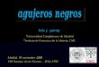 agujeros negros - Instituto de Estructura de la Materia · agujeros negros luis j. garay 1Universidad Complutense de Madrid 2Instituto de Estructura de la Materia, CSIC Madrid, 18