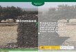 Biomasa - IDAE · TíTulo “Biomasa: Experiencias con biomasa agrícola y forestal para uso energético” Dirección Técnica . IDAE (Instituto para la Diversiicación y Ahorro