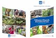 Política para el Desarrollo de la Cadena de Cacao de El ...centa.gob.sv/docs/guias/frutales/politica cacao.pdf · 3 PRESENTACIÓN En El Salvador, a través de la historia, el cacao