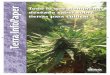 Terra InfoPaper - saltonverde.com · sirven para cultivar cannabis. Para cultivar cáñamo no vale cualquier substrato para macetas. Los ... composición no siempre es homogénea