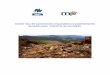 Dosier dos 40 xacementos arqueolóxicos posiblemente ...culturagalega.gal/imaxes/edicion/informe_danos_eucalipto.pdf · Denominación Túmulo 5 de Monte de Liñeiras Código GA27061016