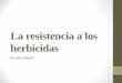 La resistencia a los herbicidasrepositorio.educacionsuperior.gob.ec/bitstream/28000/4874/13/ANEXO... · Resistencia cruzada: es el resultado de resistencia a dos o más herbicidas