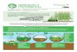 Manejo de la resistencia de herbicidas - afipa.cl · El Comité de Acción de Resistencia a Herbicidas (HRAC, por sus siglas en inglés), un grupo especialista técnico de CropLife