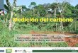 Medición del carbono - The Forest Carbon Partnership Facility · Cambio en los reservorios de C en materia orgánica muerta , derivados de cambios del tipo de uso de la tierra 