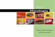Micologíafcn.unp.edu.ar/sitio/microambiental/wp-content/uploads/2016/08/TP-8... · Microbiología Ambiental 2 MICOLOGIA Características generales de los hongos El reino biológico