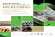 Plan de Acción Sectorial Ambiental del MERCURIO · 3 PLAN DE ACCIÓN SECTORIAL AMBIENTAL DEL MERCURIO Contenido Fichas del Plan de Acción Sectorial Ambiental de Mercurio..... 7