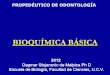 BIOQUÍMICA BÁSICA - ucv.ve · Dagmar Stojanovic de Malpica Ph D Escuela de Biología, Facultad de Ciencias, U.C.V. 2012 . Nivel 4 La célula y sus organelos Nivel 3 Complejos supramoleculares