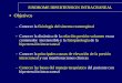 Objetivos - UCM-Universidad Complutense de Madrid HIC ppt.pdf · • El Flujo cerebral se mantiene constante en un amplio rango de variaciones de la presión arterial (autorregulacion)