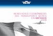 BENEFICIOS ECONÓMICOS DEL TRANSPORTE AÉREO EN …clacsec.lima.icao.int/2016-P/Estudios/IATA/MEX/Mexico_esp2006.pdf · 02 • El mercado de pasajeros con vuelos internacionales y