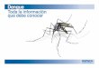 Vector: Un artrópodo que transﬁere un agente de una fuente de · • La sobrevivencia de los mosquitos depende de la capacidad para alimentarse, reproducirse, protegerse y dispersarse