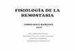 FISIOLOGÍA DE LA HEMSOTASIAecaths1.s3.amazonaws.com/fisiologiafacena/1302269111.13.04.16... · FISIOLOGIA HUMANA 2016 Bioq. Claudia Patricia Serrano Especialista en Docencia y Gestión