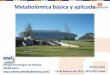 Metabolómica básica y aplicada - UPV/EHU · Parque Tecnológico de Bizkaia. 48160 Derio  Metabolómica básica y aplicada. Ainara Cano. 13 de Febrero de 2013, UPV/EHU, Leioa