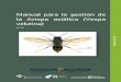 Manual para la gestión de la Avispa asiática (Vespa velutina) · 5 BIOLOGIA DE VESPA VELUTINA Vespa velutina nigrithorax es un himenóptero social, perteneciente a la Familia Vespidae.Se