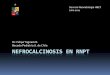 Nefrocalcinosis en RNPT - manuelosses.clmanuelosses.cl/BNN/docencia/Nefrocalcinosis en RNPT.pdf · Nefrocalcina? Tam Horsfall? Sin estudios. Inhibidores