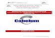 CONDUCTORES DE ALUMINIO DEL CARONI, C.A. … · servicio de arrendamiento de equipos de reproducciÓn multifuncionales para la planta cvg cabelum, c.a.” ca-cab-001-2019 1 conductores