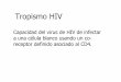 HIV Diagnostico Molecular Hemocentro 2014 tercera parte ... 3.pdf · Mixed HIV – La poblacion de virus contiene de los tipos de ... HIV Diagnostico Molecular Hemocentro 2014 tercera