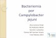 Bacteriemia por Campylobacter jejuni - Servicio de Pediatria · A.P. Embarazo controlado y normoevolutivo. RNT (38sg). Parto eutócico. Apgar 9/10. PAEG: 3490g. Cribado metabólico