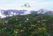 Bosque Quintas del Bosque IIquintasdelbosque.com.do/mt-content/uploads/2019/02/presentacion... · A 150 kilometros de Santo Domingo y a solo 15 minutos de Jarabacoa, en la ruta que