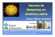 Irene Pérez Schael PAHO - Vacuna RV en Latino America - 2008 · 4 – 80% Abate et al., ICP Cancun, 2004; Parashar et al. Emerg Infect Dis, 2003 11- 63% Costa Rica. Rotavirus Strains