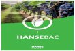 HANSE · 2018-05-13 · (RIZOBACTERIAS (PGPR) Y TRICHODERMAS) HanseBac® es un producto granulado soluble en agua que contiene una cepa de Bacillus subtilis altamente ... Microsoft