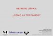 NEFRITIS LÚPICA ¿CÓMO LA TRATAMOS? - sademi.comsademi.com/wp-content/uploads/2018/06/Guillermo-Ruiz-Irastorza.pdf · En el lupus, usa HCQ como base . también en la nefritis!!