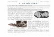 1. LA CÈL·LULA: TEORIA CEL·LULAR - blocs.xtec.cat¨l... · l’any 1665, quan Robert Hooke va descriure una fina làmina de suro observada amb un microscopi construït per ell