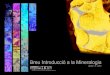 Transparència - media.firabcn.esmedia.firabcn.es/content/S002014/doc/introduccio_guia_mineralogia.pdf · Metasomatisme de contacte Metamorﬁ sme de contacte Processos hidrotermals