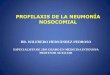PROFILAXIS DE LA NEUMONÍA NOSOCOMIAL - Ficheros del ...files.sld.cu/...de-la-neumonia-nosocomial-dr-wilfredo-hernandez.pdf · -El costo de la sepsis nosocomial fue de 4,5 a 5,7 billones