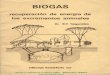 BIOGAS - Nicolás Di Ruscio | Vegetarianismo, Proyectos ...nicolasdiruscio.com.ar/archivos/Biogas/Biogas Recuperacion de... · BIOGAS recuperación de energia de los excrementos animales