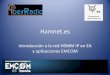 Hamnet - iberradio.es · Resumen contenidos •Hamnet en el mundo: Europa y USA: HSMM-BB, Hamwan, AREDN •Hamnet.es •Topología AP-station Topología Mesh-wds •Protocolos enrut