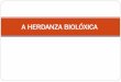 A HERDANZA BIOLÓXICA - edu.xunta.gal herdanza biolóxica comp.pdf · homólogos dominan por igual. De xeito que o individuo manifesta os dous alelos á vez, pero sen mesturarse