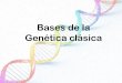 Bases de la Genética clásica°Medio/Biología/ppt Genetica (mono y di... · Gregor Mendel (Johann Gregor o Gregorio Mendel; Heizendorf, hoy Hyncice, actual República Checa, 1822