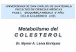 Metabolismo del C O L E S T E R O L - Bioquímica ... · ∆7-24 -colestadienol + NADP O2 Entre las reacciones finales no incluidas ... NADP O2 Desmosterol (24-Dehidrocolesterol)