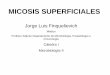 MICOSIS SUPERFICIALES - fmed.uba.ar 3 -Micro II_4.pdf · MICOSIS SUPERFICIALES AGENTE hábitat morfología patogenicidad diagnóstico HUESPED factores predisponentes factores desencadenantes