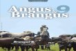 Revista Angus y Brangus-9ª edición ESPECIAL BRANGUS R Otra alternativa de cruzamiento en Colombia Asociación Angus&Brangus de Colombia 10 Artículos Técnicos Martín García Fernández