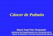 Cáncer de Pulmón Pulmon.pdf · Enfisema Pulmonar : Disminución de la Reserva Bronquiectasias: Infecciones Recurrentes ... es lograr cambios de hábitos en la comunidad para reducir