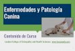 Enfermedades y Patología Canina - lcocanada.com · Atrofia Retinal Progresiva 6. Lección 5: Patología del Sistema Digestivo ... Rinitis y Sinusitis Síndrome Braquicefálico Lección
