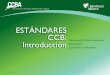 CCBS v2 Introduction 8.81).pdf · Sede del Secretariado de la Red de ... CONTENIDO DE LOS ESTÁNDARES SOCIALES Y AMBIENTALES PARA REDD+ ... ambientales y sociales en su diseño 24