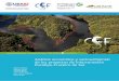 Análisis económico y socioambiental de los proyectos de ... · CSF sustenta ecosistemas naturales y comunidades humanas a través de estrategias de conservación impulsadas por