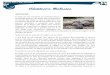 ADAPTACIÓN BIOLOGICAqmtltda.com/material_pedagogico/grado_7/naturales/14. suseciones...La iguana marina de las Galápagos, la única de su género que vive en el mar, posee unos mecanismos