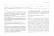 Otolicuorrea espontánea en el adulto. Presentación de ...scielo.isciii.es/pdf/neuro/v22n2/caso1.pdf · La meningitis es su complicación más grave, por lo que es prioritario un
